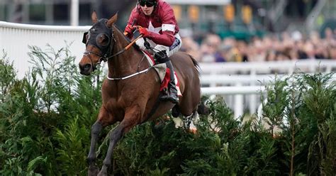 Grand National 2019 favourite to win .